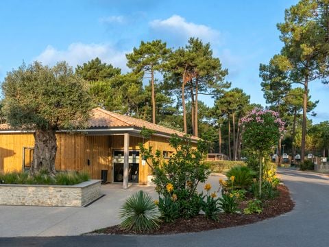 Camping Club Médoc Plage 4* - MS VACANCES - Camping Gironde - Image N°38