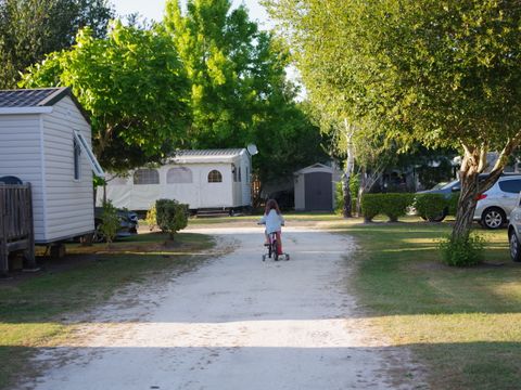 Camping Paradis Le Tastesoule - Camping Gironde - Image N°39