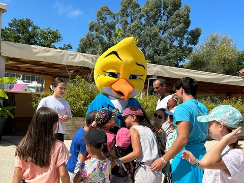 Camping Paradis Le Tastesoule - Camping Gironde - Image N°47