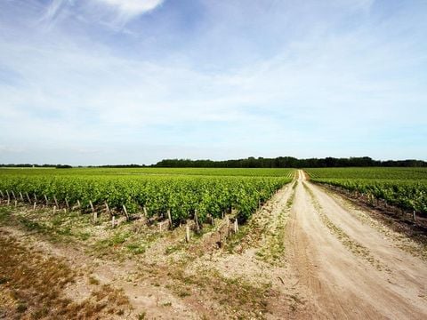 Camping Ushuaïa villages la Chesnays - Camping Gironde - Image N°37