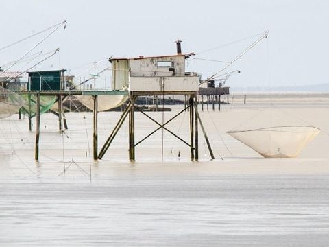 Camping Ushuaïa villages la Chesnays - Camping Gironde - Image N°33