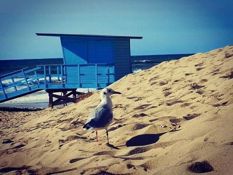 Camping Ushuaïa villages la Chesnays - Camping Gironde - Image N°22