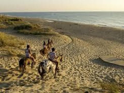 Camping Ushuaïa villages la Chesnays - Camping Gironde - Image N°40