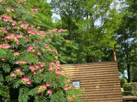 HÉBERGEMENT INSOLITE 2 personnes - Cabadienne - Tente bois 6 m²