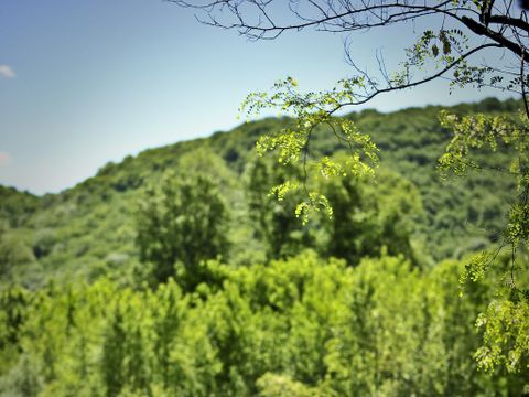 Camping Les Granges - Camping Lot - Image N°23