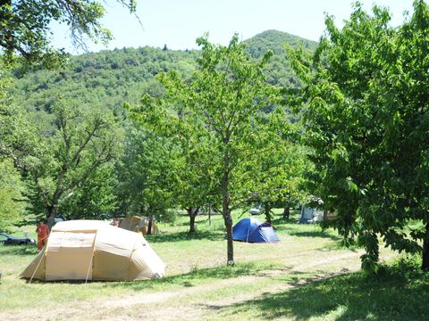 Camping La Molière  - Camping Lozere - Image N°11