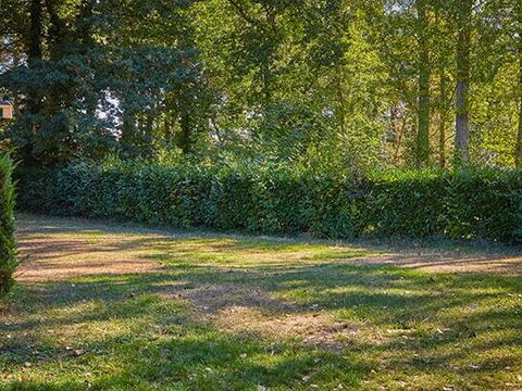 Emplacement - Emplacement | Essential | Tente | Véhicule -7m | <100m² | Electricité | Pas d'eau