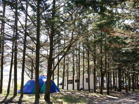 Camping le Matin Calme - Camping Drome - Image N°13