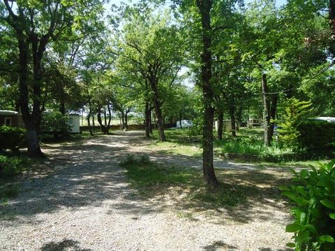 Camping Les Chênes - Camping Ardeche - Image N°16