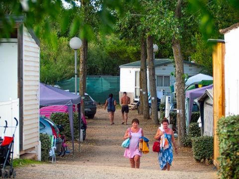 Camping Le Roucan West - Camping Herault - Image N°12