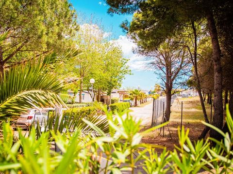 Camping Le Roucan West - Camping Herault - Image N°28