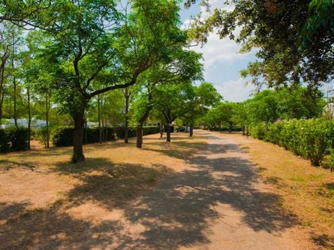 Camping Mas des Roses - Camping Hérault - Image N°0
