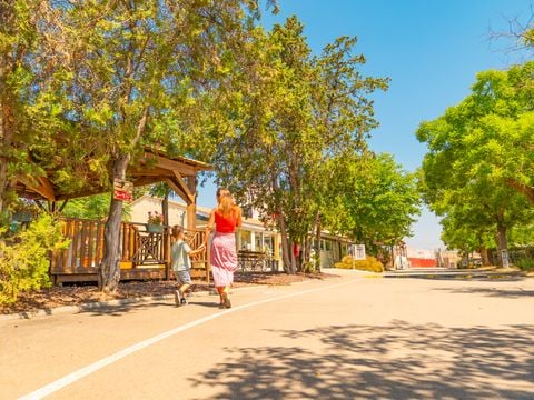 Camping Mas des Roses - Camping Hérault - Image N°8