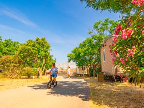 Camping Mas des Roses - Camping Hérault - Image N°16