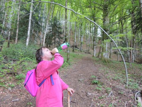 Camping Pommeraie - Camping Cantal - Image N°29