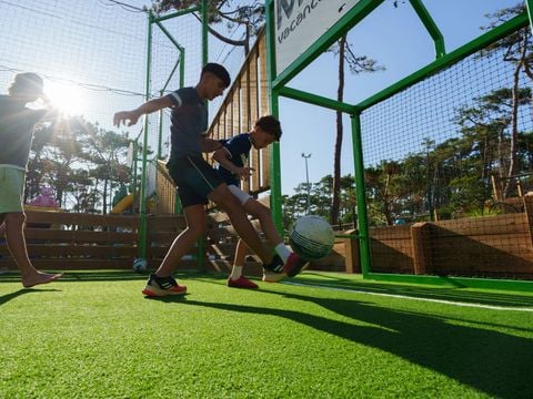 Camping Club Les Tourterelles 4* - MS VACANCES - Camping Landes