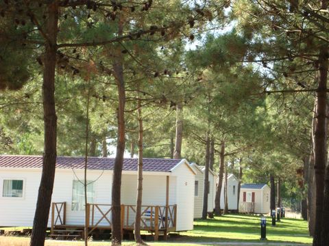 Camping Sitava Milfontes - Camping Alentejo - Portugal - Afbeelding N°19