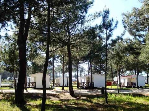 Camping Sitava Milfontes - Camping Alentejo - Portugal - Afbeelding N°25