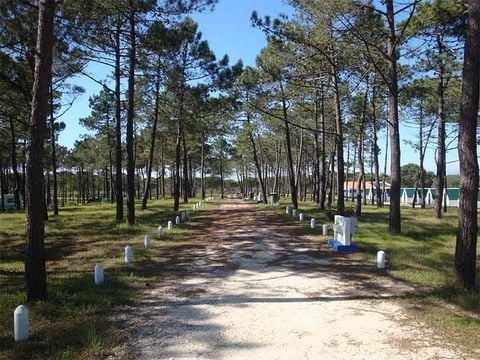 Camping Sitava Milfontes - Camping Alentejo - Portugal - Afbeelding N°26