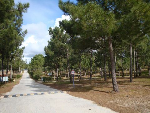 Camping Sitava Milfontes - Camping Alentejo - Portugal - Afbeelding N°21