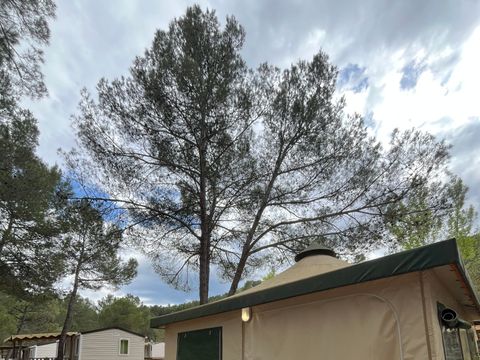 BUNGALOW TOILÉ 5 personnes - Bungalow Toilé Confort 20m² 2 chambres - sanitaire individuel extérieur + Auvent - sans clim 1/5 pers