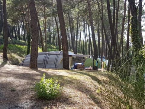 Emplacement - Emplacement 80 m² Tente