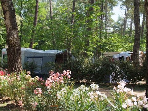 Emplacement - Emplacement 100 m² Caravane