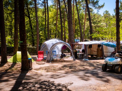 Camping Paradis - Le Ruou  - Camping Var - Image N°27