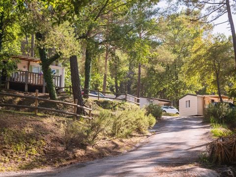 Camping Paradis - Le Ruou  - Camping Var - Image N°73