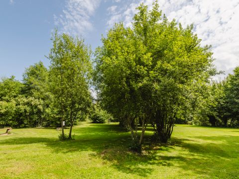 Emplacement - Forfait Nature : 1 voiture + 1 tente, caravane ou camping-car
