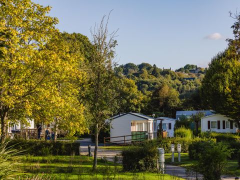 Flower camping Les Chevaliers de Malte - Camping Manche - Image N°16