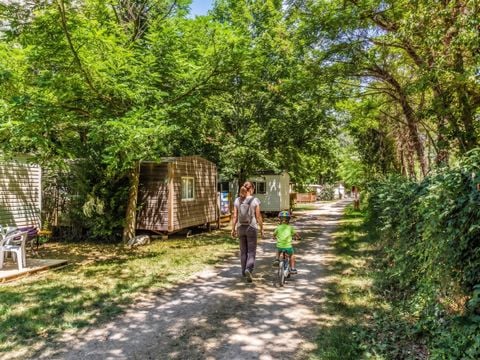 Camping Mas de Lastourg - Camping Pyrénées-Orientales - Image N°15