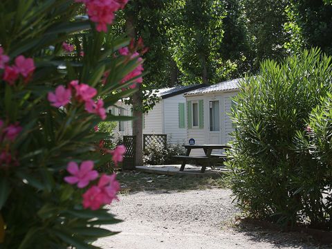 Camping Les Berges du Canal - Camping Herault - Image N°39