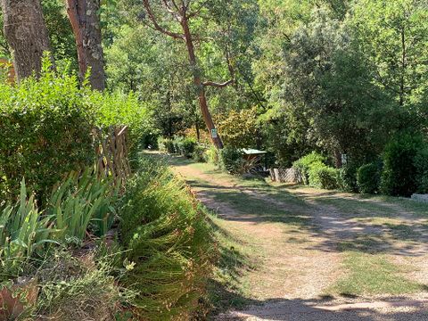 Camping Iserand Calme et Nature - Camping Ardeche - Image N°22