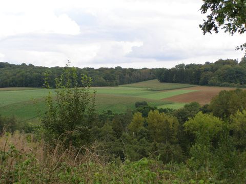 Camping La Colline de Rabais - Camping Flandre Occidentale - Image N°32