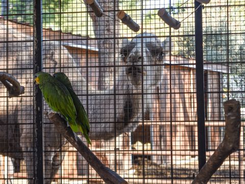 Camping Marina Plage - Camping Bouches-du-Rhône - Image N°9