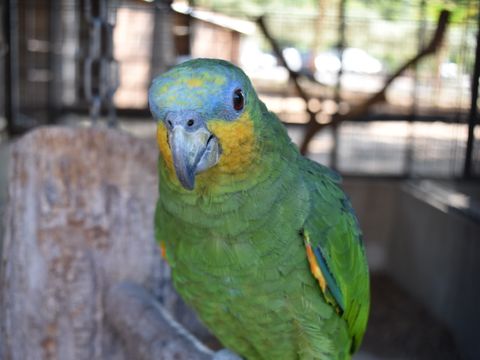 Camping Marina Plage - Camping Bouches-du-Rhône - Image N°10