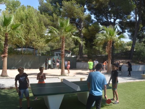 Camping Marina Plage - Camping Bouches-du-Rhône - Image N°25