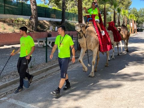 Camping Marina Plage - Camping Bouches-du-Rhône
