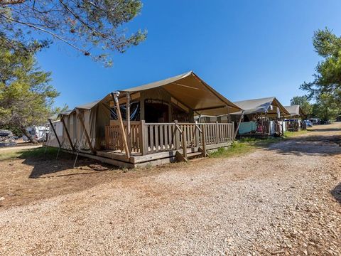 Tente en toile et en bois 5 personnes - Valkanela - Tente Safari Relax