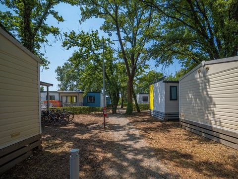 Camping Valkanela - Camping Istrie - Image N°15