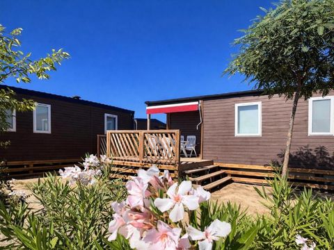 Camping Resort Els Pins - Camping Barcelone - Image N°15