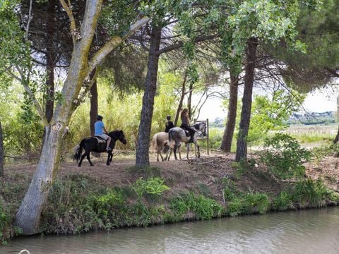 Camping Les Tamaris et Les Portes Du Soleil  - Camping Hérault