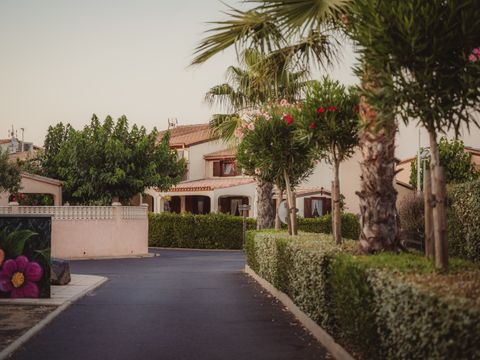 Camping Les Tamaris et Les Portes Du Soleil  - Camping Hérault - Image N°64