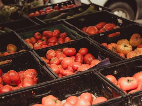 Camping Les Tamaris et Les Portes Du Soleil  - Camping Hérault - Image N°19