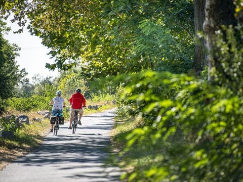 Camping Les Tamaris et Les Portes Du Soleil  - Camping Hérault - Image N°72