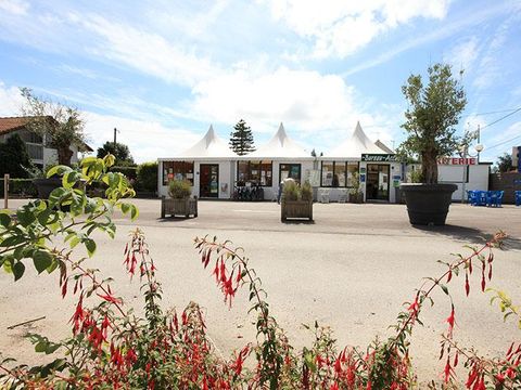 Camping Les Vertes Feuilles  - Camping Somme - Image N°20