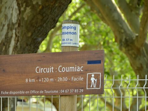 Camping La Plage de l'Orb - Camping Herault - Image N°10