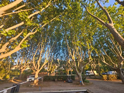 Camping La Plage de L'Orb - Camping Hérault - Image N°16