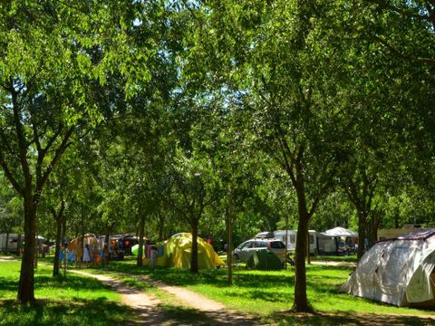 Camping Les Platanes - Camping Ardeche - Image N°60